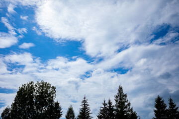 A beautiful and scenic sky filled with clouds, complemented by trees in the background