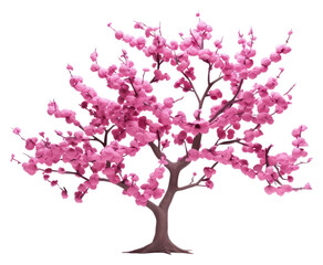 Fototapeta premium PNG Blossom flower plant tree.