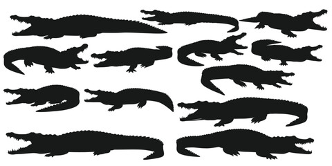 Unique pose and shape Crocodile and alligator silhouette set with white background