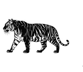 Fototapeta premium Majestic Tiger Illustration with white background