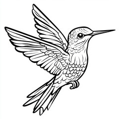 Obraz premium Coloring page of a hummingbird white space clear lines isolated on a white background