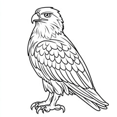 Fototapeta premium Coloring page of an eagle white space clear lines isolated on a white background