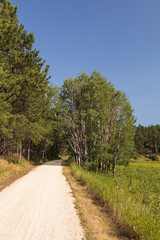 Fototapeta premium The George S. Mickelson Trail, South Dakota