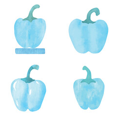 Bell pepper watercolor hand drawn set collection