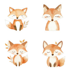 fox watercolor hand drawn illustration concept