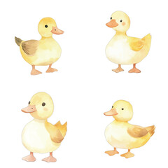 duck watercolor illustration concept for kids
