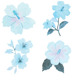 Hibiscus watercolor hand drawn set