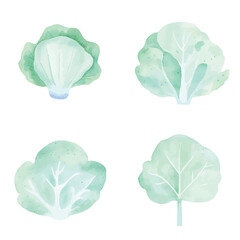 Lettuce leaf watercolor set hand drawn