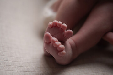 A soft close-up of a newborn's tiny feet, capturing the beauty of early life. The gentle lighting...
