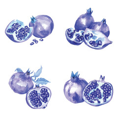 Red pomegranate seeds watercolor set hand drawn
