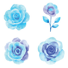 Rose watercolor hand drawn set