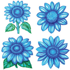 Sunflower watercolor hand drawn set