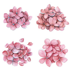 Violet petals watercolor set hand drawn