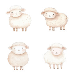 sheep watercolor illustration concept for kids