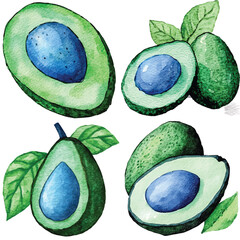 Avocado skin watercolor set hand drawn