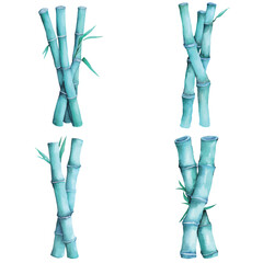Bamboo stalk watercolor set hand drawn
