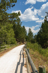 Fototapeta premium Wooden fence along the George S. Mickelson Trail, South Dakota