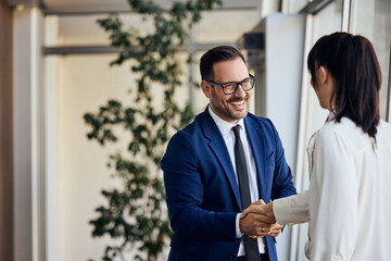Business Professionals Shaking Hands During a Positive Meeting in a Modern Office