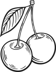 Cherry berry, fruit, leaf, plant, superfood organic engraving hand drawn illustration black white isolated vintage line art sketch silhouette graphic style poster label web