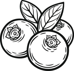 Blueberry berry, fruit, leaf, plant, superfood organic engraving hand drawn illustration black white isolated vintage line art sketch silhouette graphic style poster label web