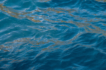 Eau de mer turquoise aux reflets dorés