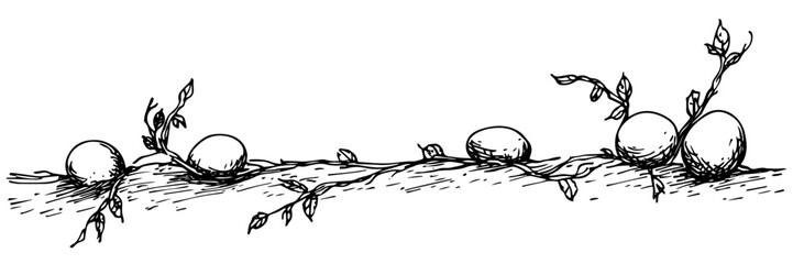 decorative Easter egg branches black ink  doodle sketch engraving vector