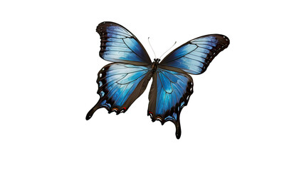 Majestic Monarch butterfly captured in perfect detail against a pure white background.Generative Ai