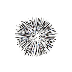 Obraz premium Abstract Firework Explosion
