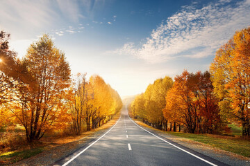 Obraz premium Beautiful rural road in autumn season forest. Royalty high-quality free best stock of Scenic autumn Winding road with colorful foliage, amazing landscape nature, fall color trees woods