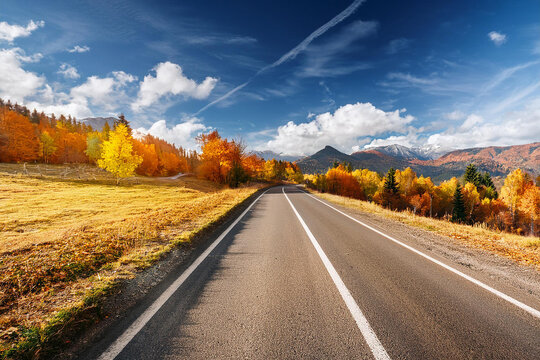 Beautiful rural road in autumn season forest. Royalty high-quality free best stock of Scenic autumn Winding road with colorful foliage, amazing landscape nature, fall color trees woods - Powered by Adobe