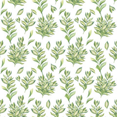 Watercolor seamless pattern with green bouquet with leaf of flower succulent on white background. Hand-drawn summer wild plant foliage. Botanical nature for tea or wallpaper wrapping textile kitchen