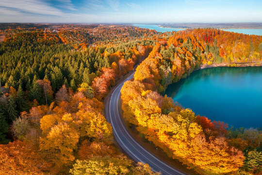 Aerial view of rural road in autumn season forest, blue lake. Royalty high-quality free best stock of Scenic autumn Winding road beside tranquil lake with colorful foliage, amazing nature, colorful