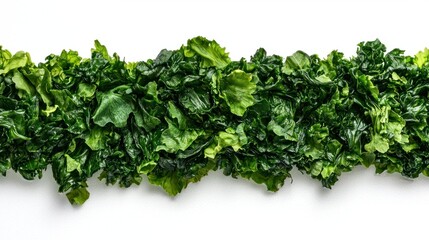 Obraz premium Fresh Green Lettuce Leaves on White Background for Culinary Use