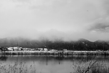 Fototapeta premium fog on the river