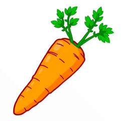 Illustration Carrot Orange Isolated Background for Vegetable Branding