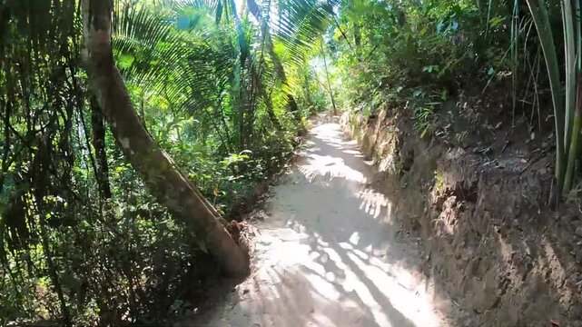 Time lapse caminhando em trilha em meio a floresta no povoado de S&atilde;o Jorge, cidade de Alto Paraiso de Goi&aacute;s, Estado de Goi&aacute;s, regi&atilde;o da chapada dos Veadeiros