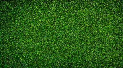 Obraz premium Lush Green Foliage Creates a Vibrant Natural Background Texture for Eco-Conscious Design