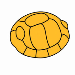 Vector Minimalist Turtle Shell Isolated Background