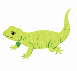 Illustration Gecko Green Isolated White Background for Nature Journal