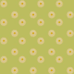 Obraz premium Seamless blooming floral daisy pattern on light green background, dpi 5000x5000