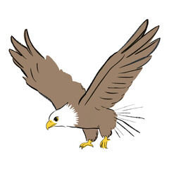 Illustration of an Eagle About to Land, Ideal for Wildlife, Strength, and Freedom Themed Designs
