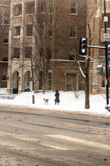 Snow Covered Buildings in Washington DC