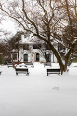 Snow Covered Buildings in Washington DC