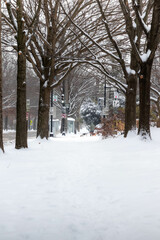 Person Crossing a Snow Covered Street