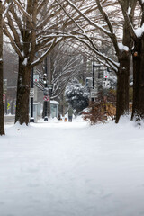 Person Crossing a Snow Covered Street