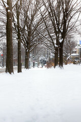 Person Crossing a Snow Covered Street