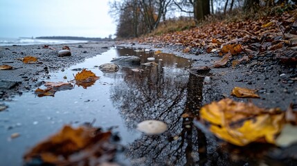 Autumn beach puddle reflection, grey sky, fallen leaves