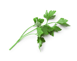 Sprig of fresh parsley isolated on white, top view