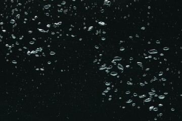 Many water bubbles on black background, closeup