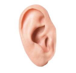 Woman on white background, closeup of ear